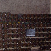 Ca' del Bosco (23)